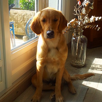 Oscar