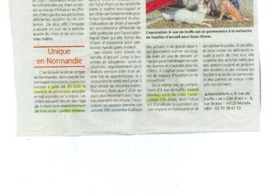 article-liberte-a-vue-de-truffe