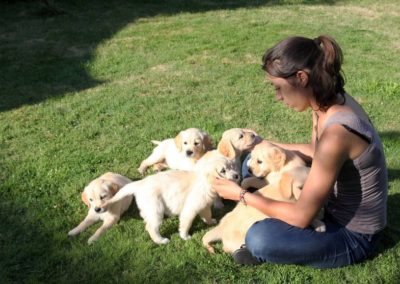 chiots et jeune femme