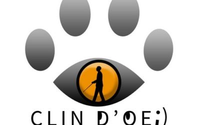 Prochaines activités de l’association Clin d’Oeil