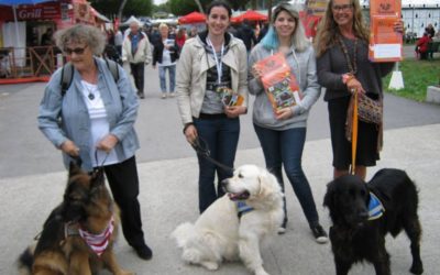 Appel aux bénévoles – Foire de Caen 2018