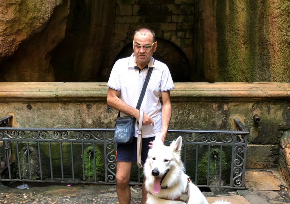 Les chiens pendant le confinement – Ora et Jouba