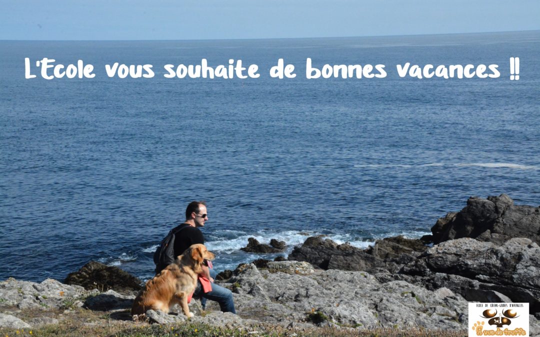 Newsletter n°25 – Juillet/Août 2020