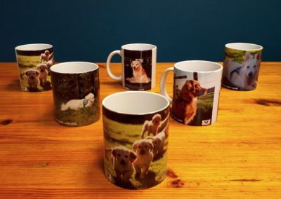 Nouveaux mugs de l’association