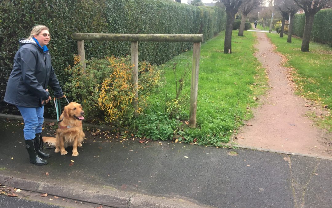 Remise d&rsquo;Oline