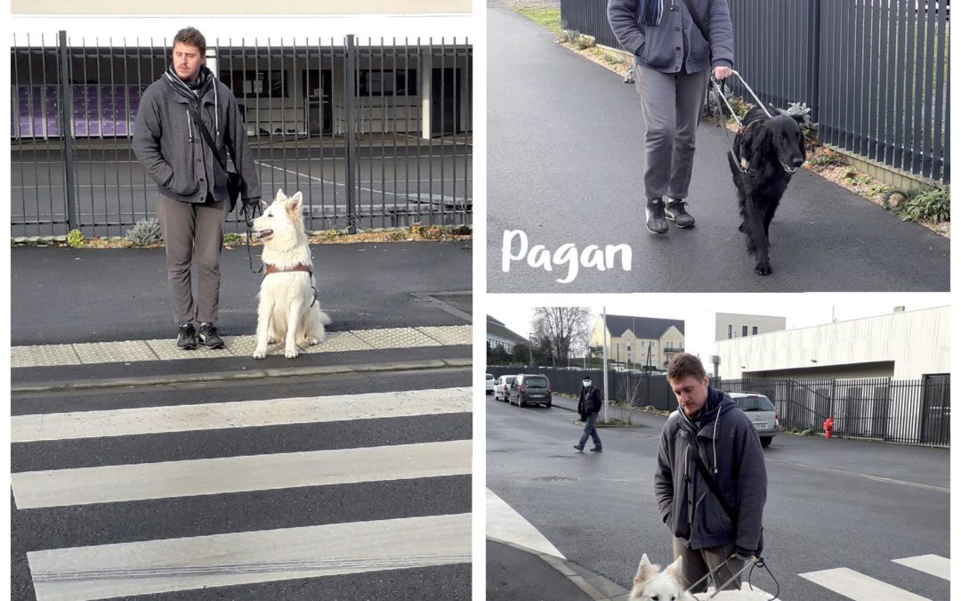 Les nouveaux élèves d&rsquo;A Vue de Truffe : Pagan, Pan et Panis