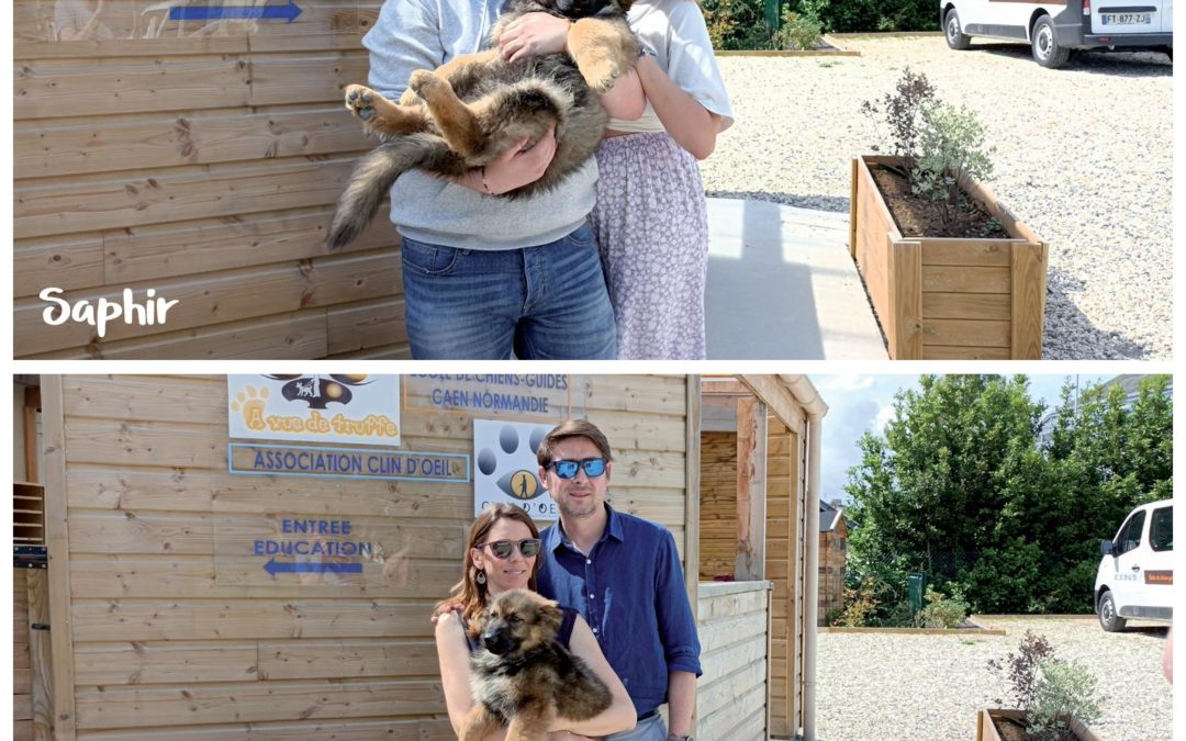 Saphir et Saxo, les nouveaux chiots de l’école