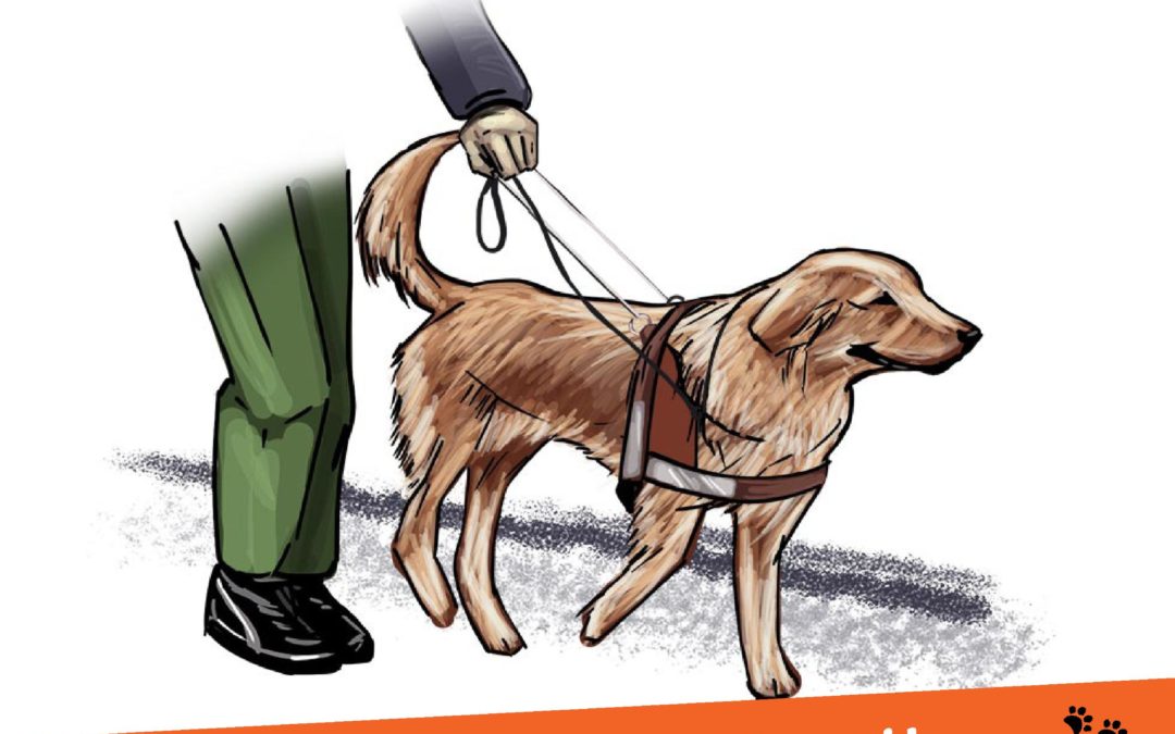 Journée Portes Ouvertes – dimanche 26 septembre 2021