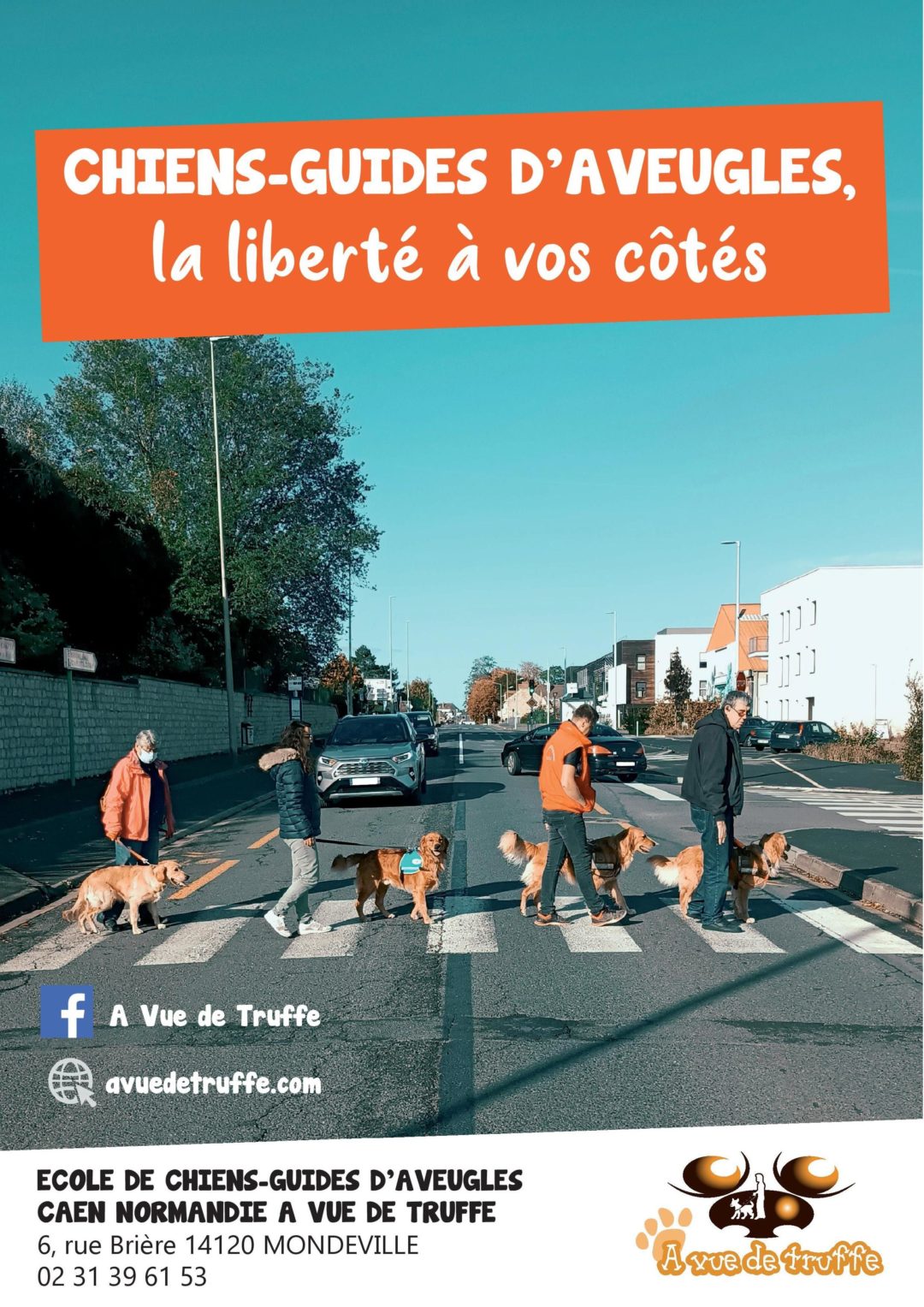 Appel aux dons : Chiens-Guides d’Aveugles, la liberté à vos côtés