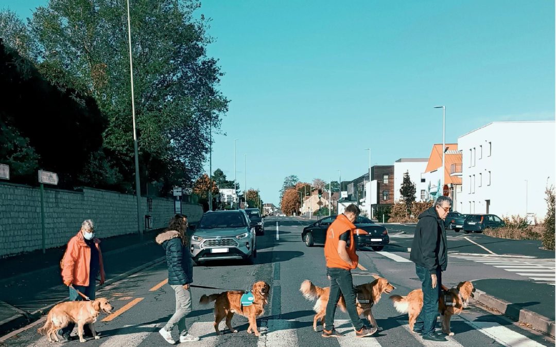 Appel aux dons : Chiens-Guides d’Aveugles, la liberté à vos côtés