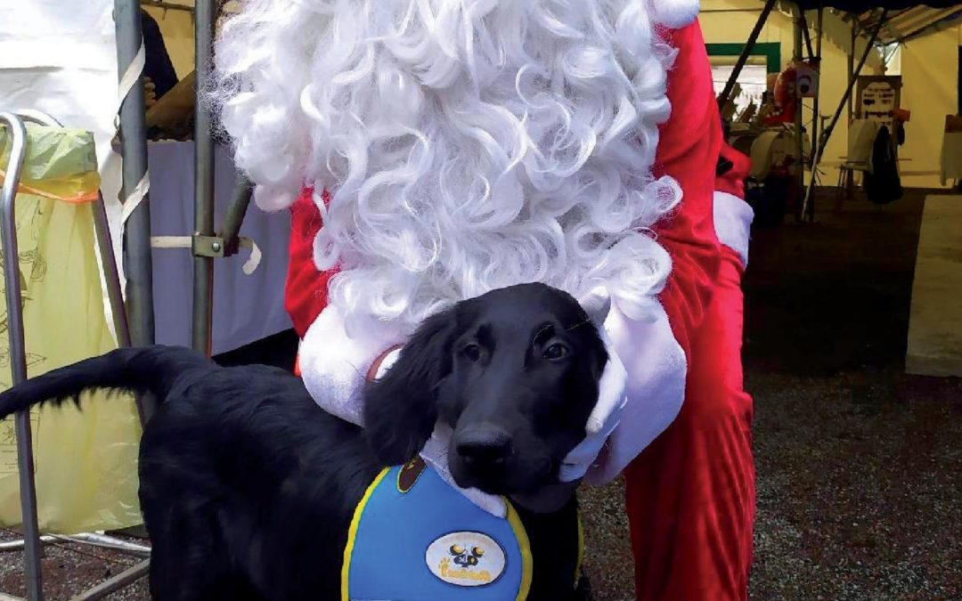 Joyeuses fêtes de fin d’année !