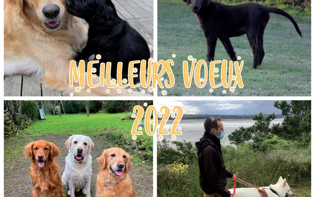 Meilleurs voeux pour 2022 !
