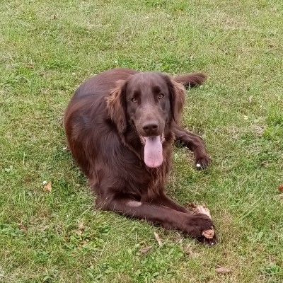 Rosco