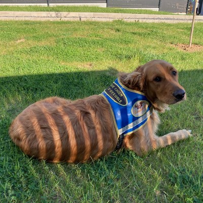 Rusty