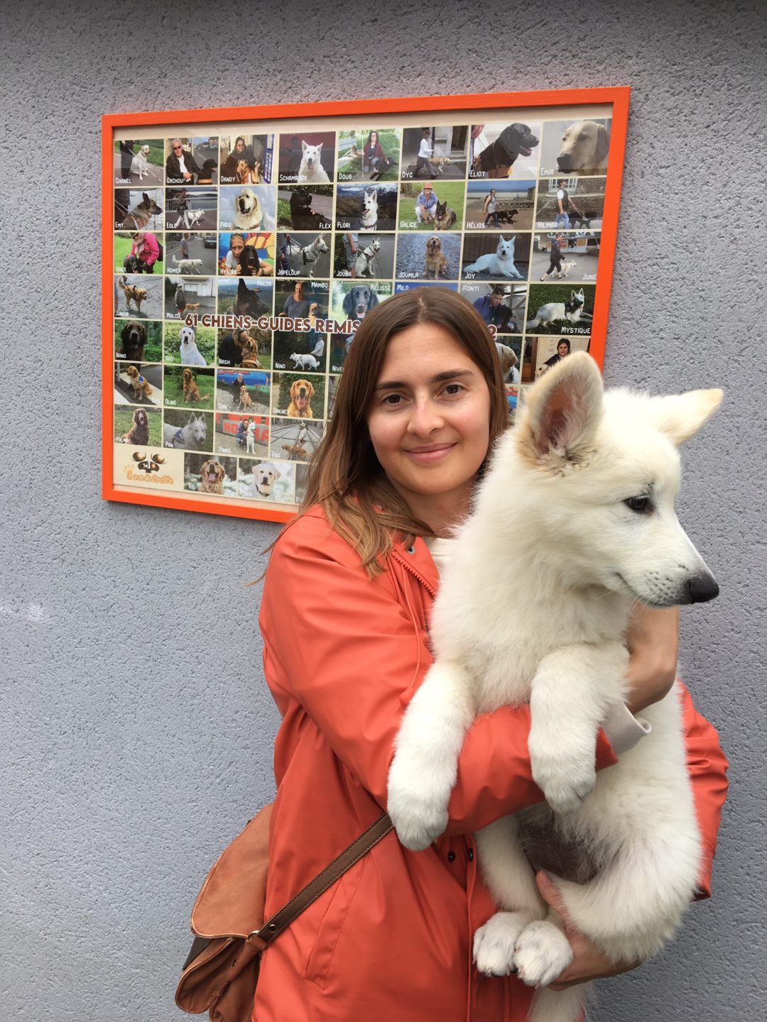 Tia et Talie, les deux nouvelles chiennes de l’école