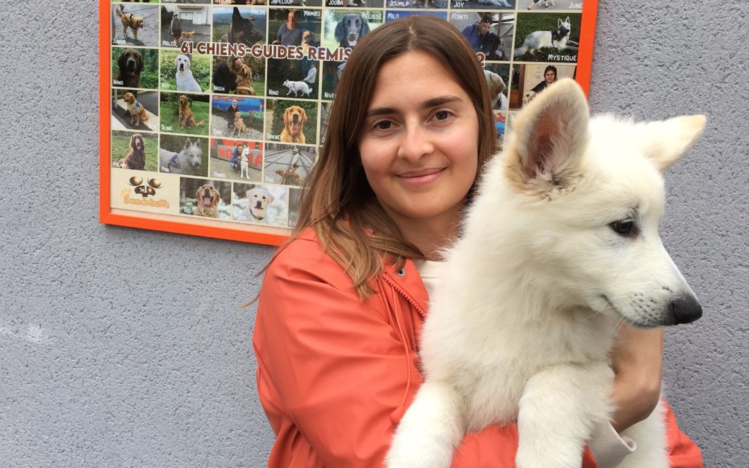 Tia et Talie, les deux nouvelles chiennes de l’école