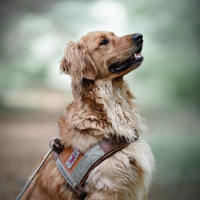 Rusty