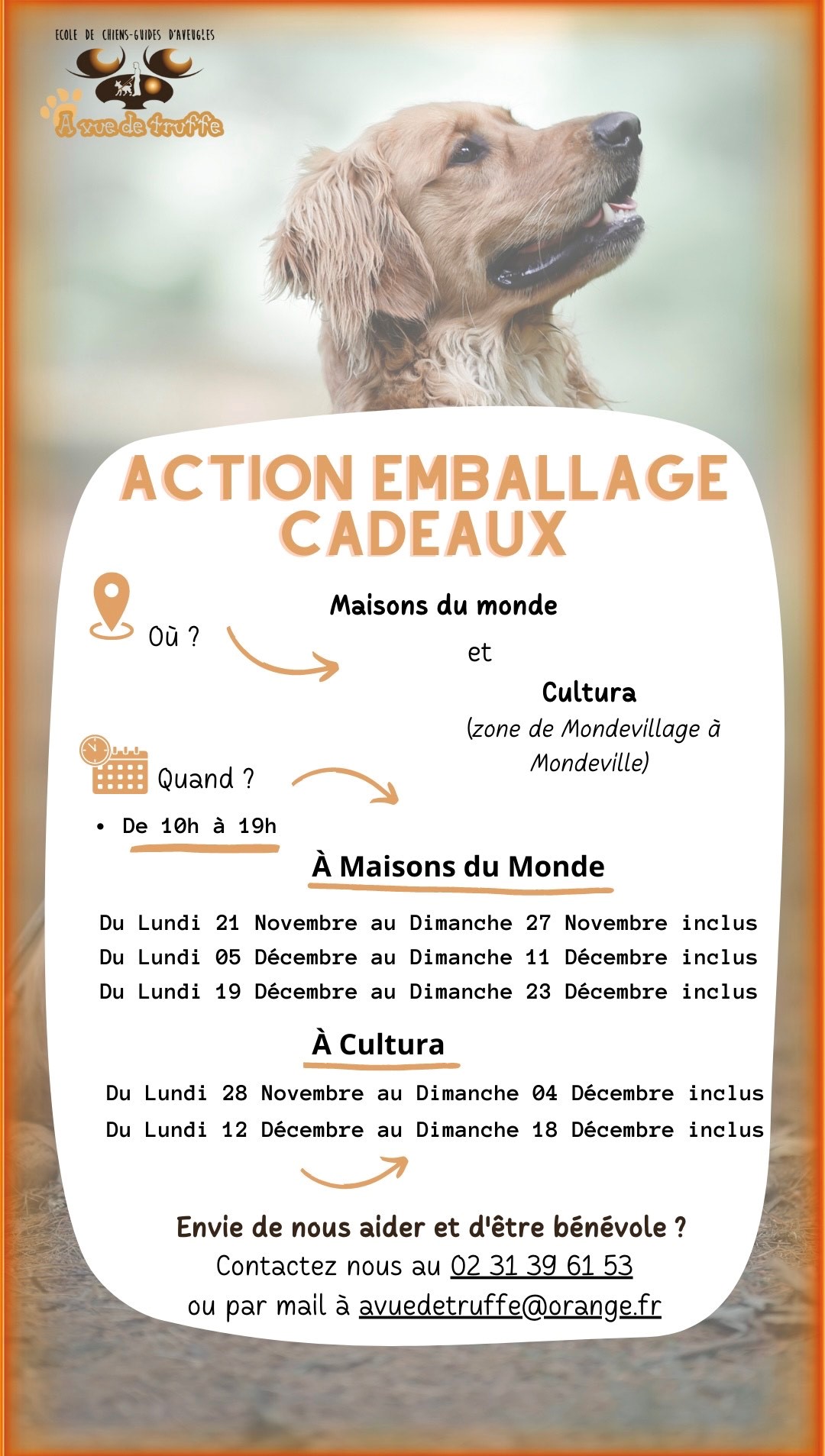 Action Emballage Cadeaux – Cultura et Maisons du Monde