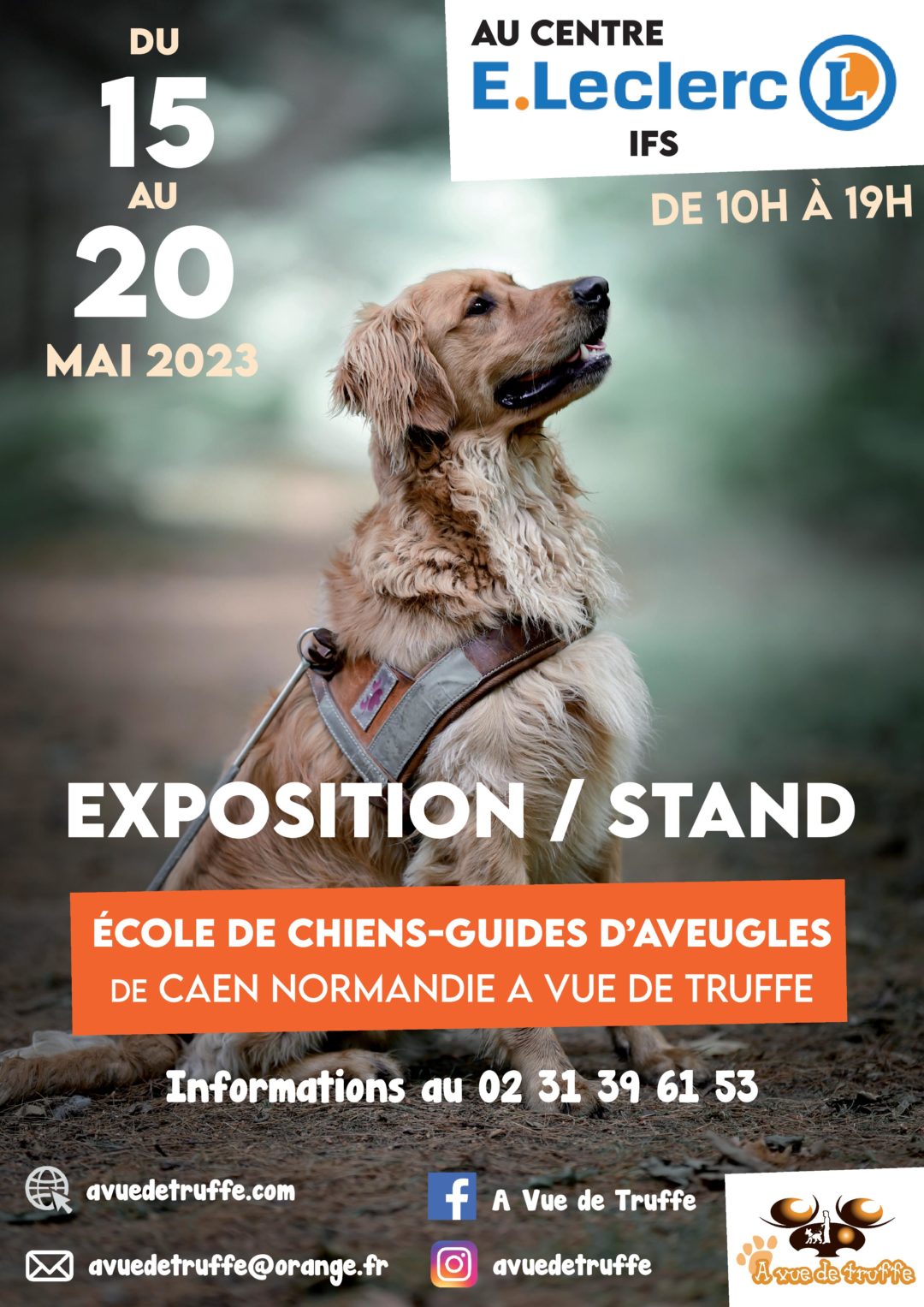 Expo/Stand – Leclerc Ifs