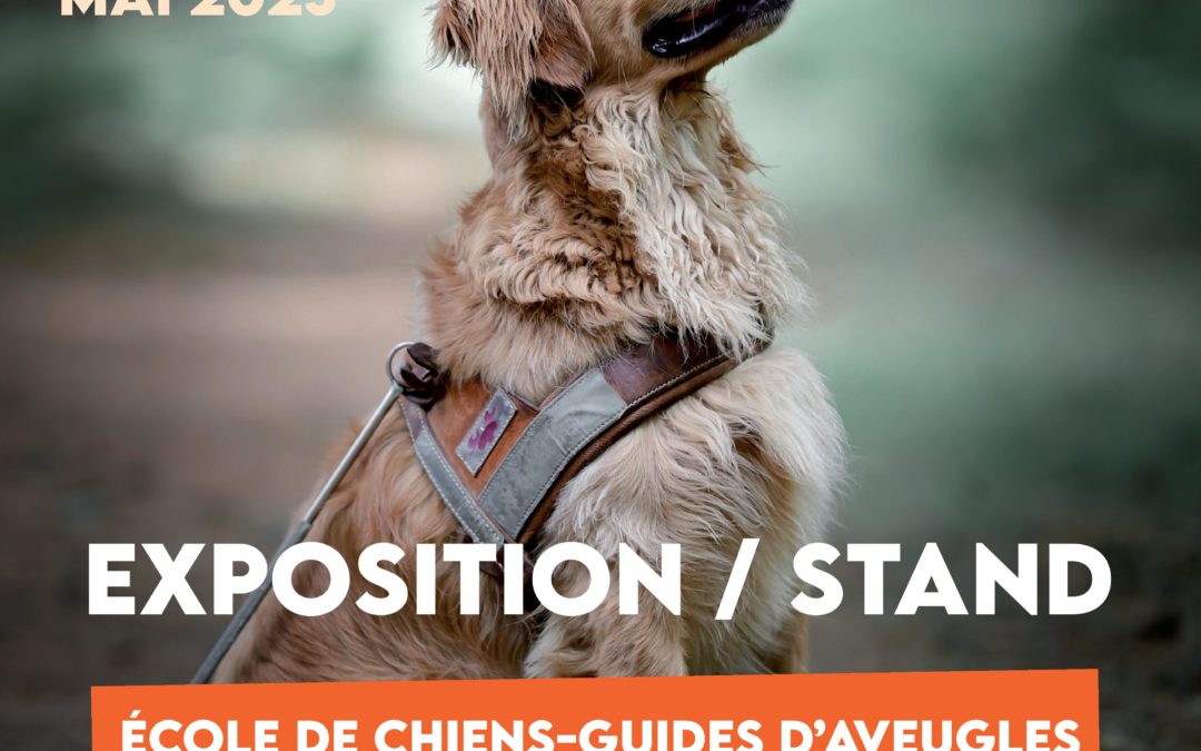 Expo/Stand – Leclerc Ifs