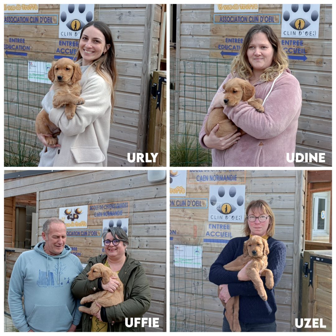 Les nouveaux chiots de l’école !