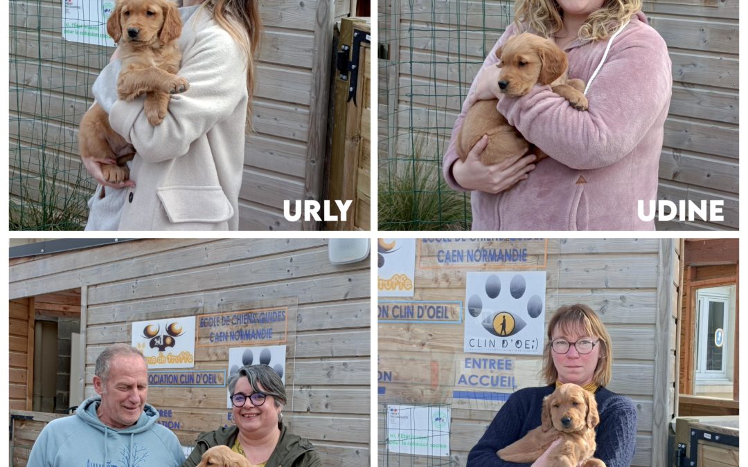 Les nouveaux chiots de l’école !