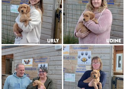 Les nouveaux chiots de l’école !