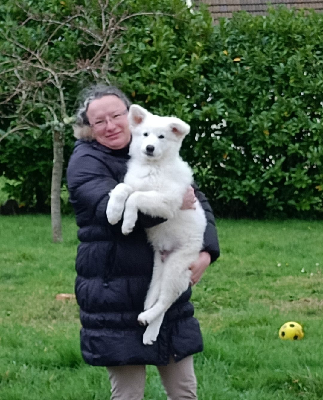 Torm, nouveau chiot berger blanc Suisse à l’association