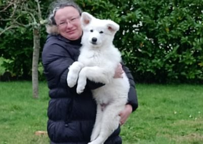 Torm, nouveau chiot berger blanc Suisse à l’association