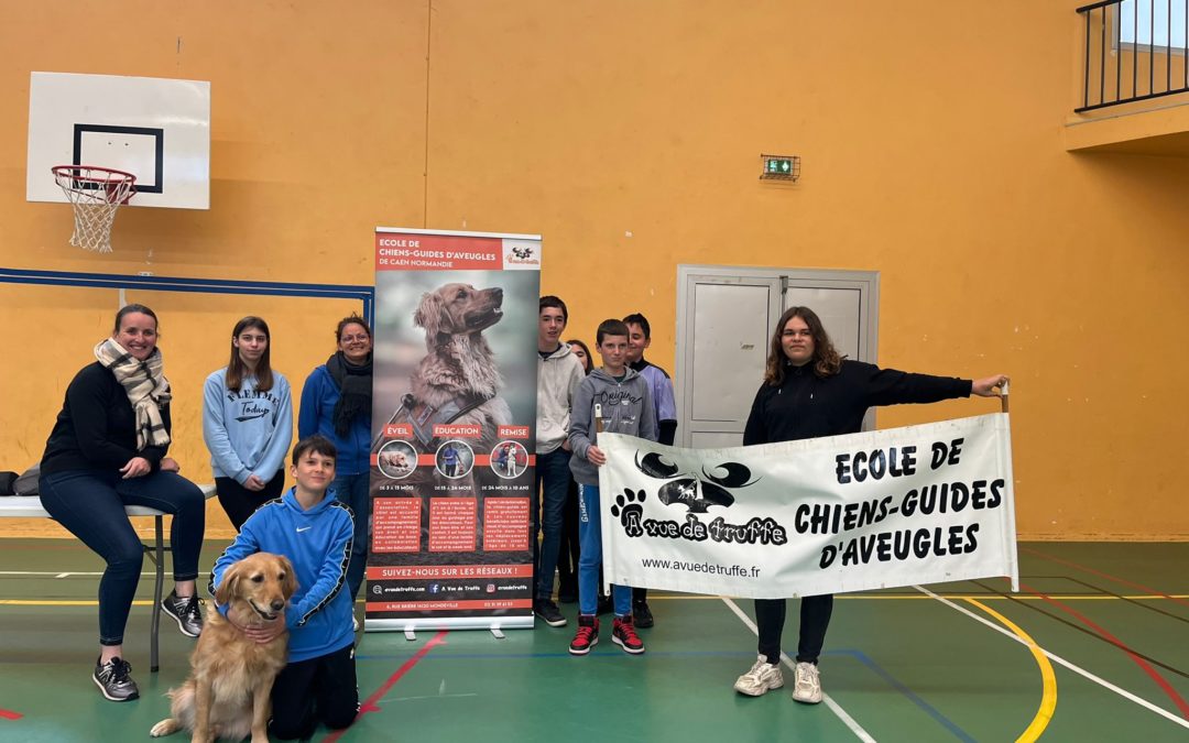 Sensibilisations – MJC Colleville et Tandem Caen