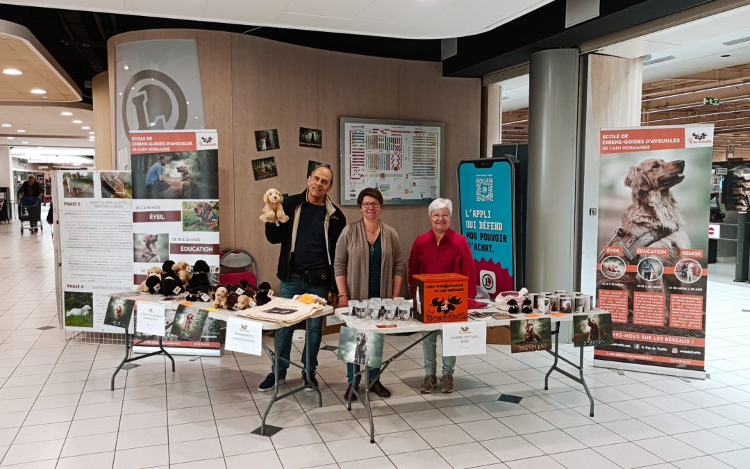 A Vue de Truffe à Leclerc Ifs