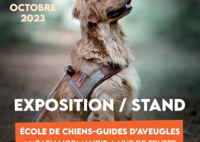 Calendrier 2024 - Chiens Guides d'Aveugles d'Île-de-France