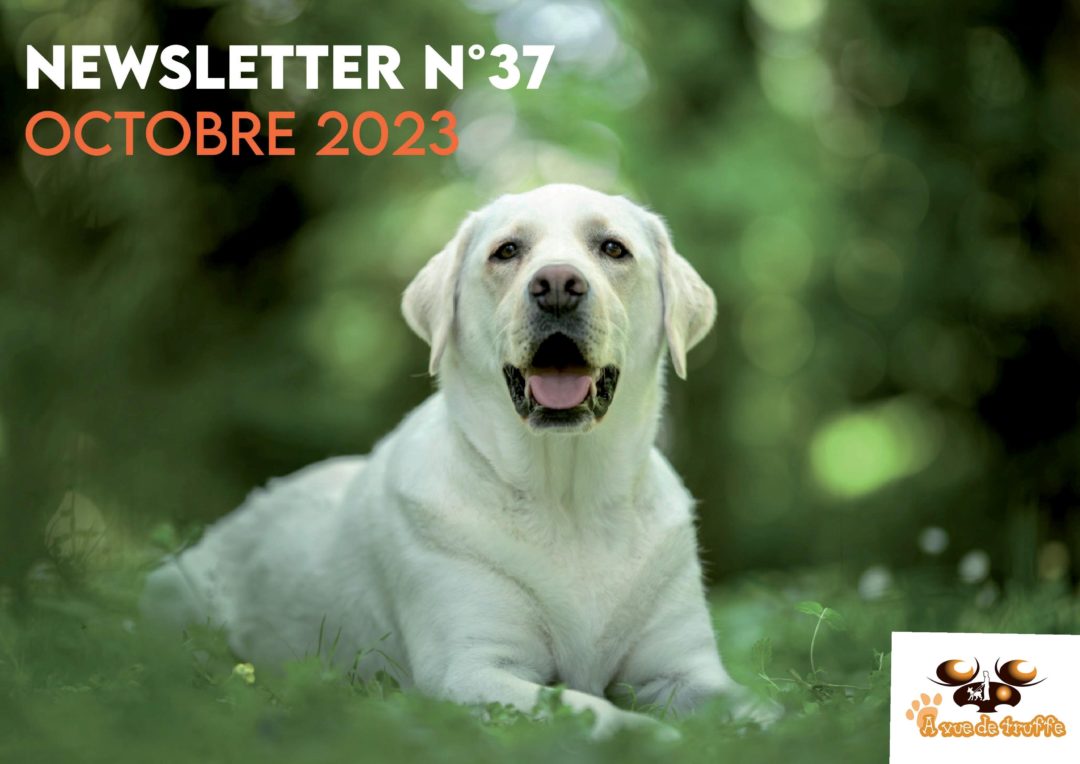 Newsletter n°37 – Octobre 2023