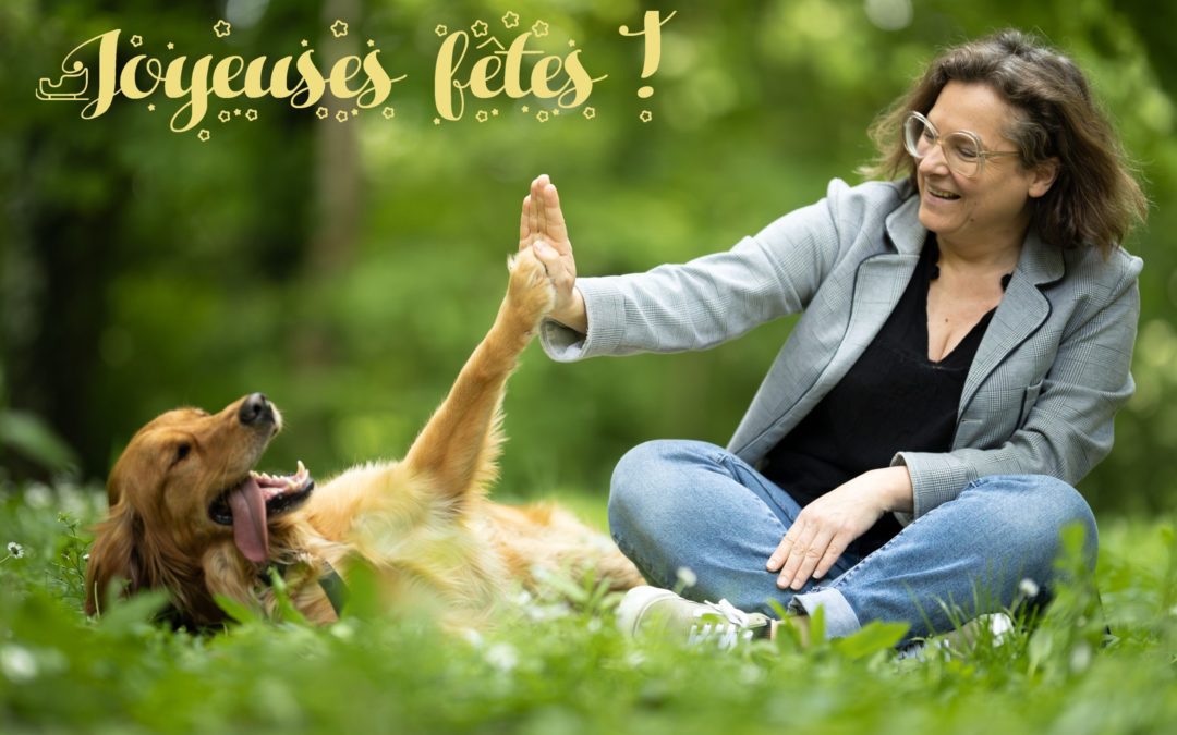 Joyeuses fêtes !