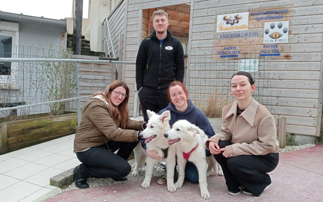 Ulack et Upset, les nouveaux chiots de l’école