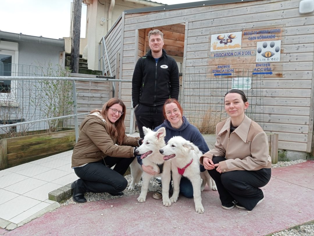 Ulack et Upset, les nouveaux chiots de l’école