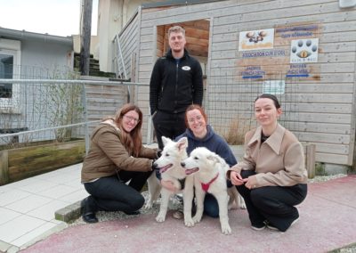 Ulack et Upset, les nouveaux chiots de l’école