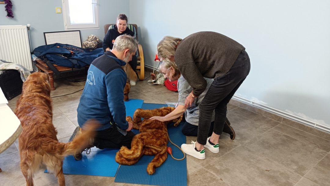 Formations au secours canin