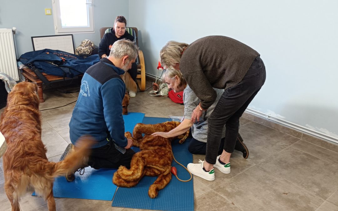 Formations au secours canin