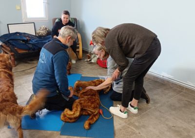 Formations au secours canin