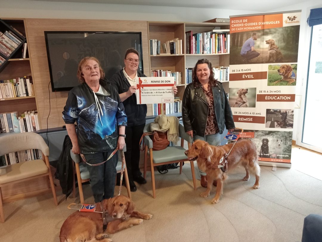 Merci à la résidence Domitys Bayeux