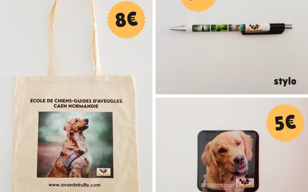 Nouveaux articles de l’école