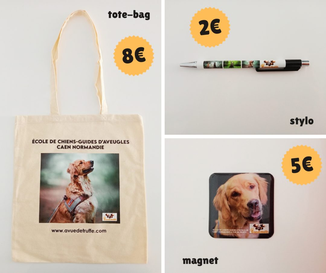 Nouveaux articles de l’école