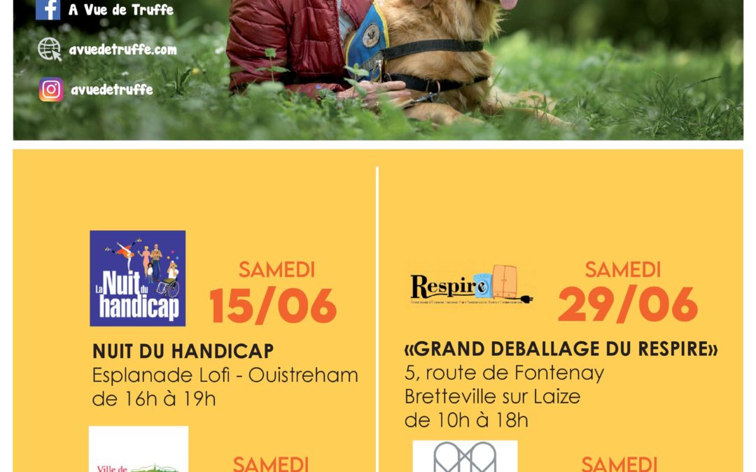 Agenda juin/août 2024 – Prochaines manifestations