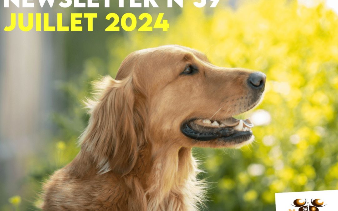 Newsletter n°39 – Juillet 2024