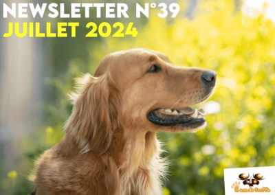 Newsletter n°39 – Juillet 2024