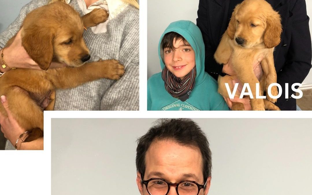 Valmont, Valois et Vigean, les nouveaux chiots de l’école !