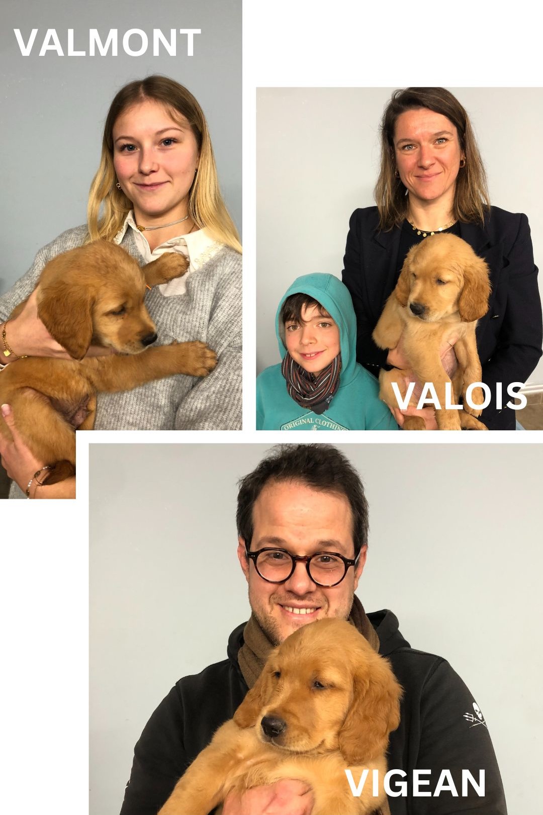 Valmont, Valois et Vigean, les nouveaux chiots de l’école !