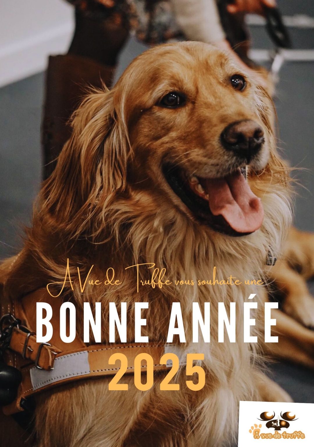 Meilleurs vœux pour 2025 !