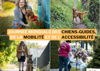Journée mondiale des chiens-guides, de la mobilité et de l’accessibilité